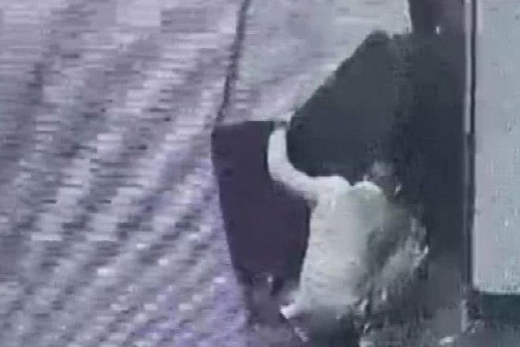 İstanbul'da iş yerini kundaklayan şahıs yakalandı