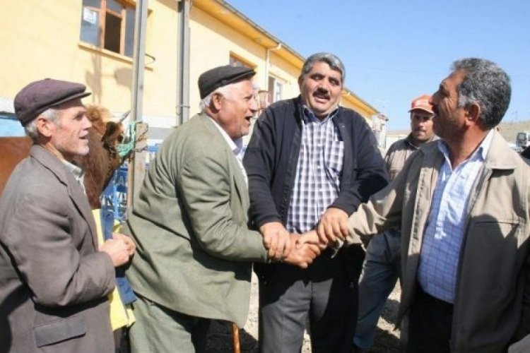 Kurbanlık fiyatları da aldı başını gitti... B&uuml;y&uuml;kbaşlar, 70 bin TL'yi g&ouml;rd&uuml;
