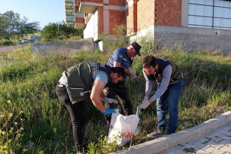 Polis ara&ccedil;tan atılan uyuşturucu hapları otların arasında buldu