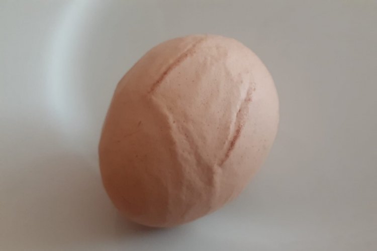 Yumurtayı g&ouml;ktaşı zannetti