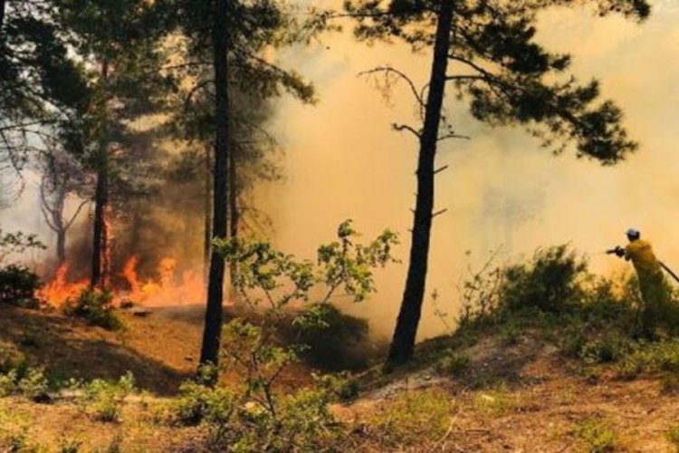 Hatay'daki orman yangınında 2 ş&uuml;pheliden 1'i tutuklandı