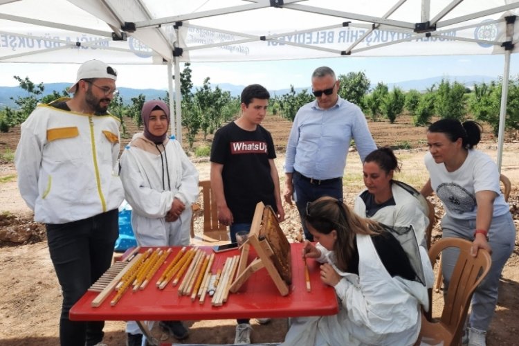 Muğla'da 'D&uuml;nya Arı G&uuml;n&uuml;' kutlandı