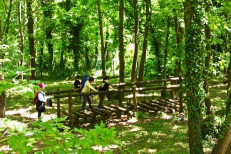 Sakarya'da eğlenerek &ouml;ğreniyorlar