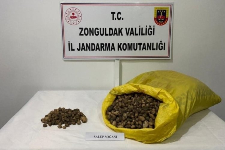 40 kilo salep soğanı i&ccedil;in 218 bin TL ceza
