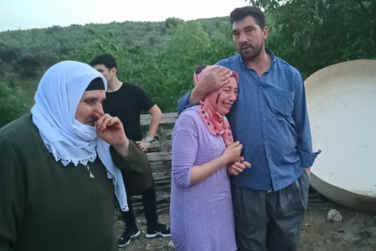 Bursa'da hayvan damı cayır cayır yandı: Onlarca tavuk telef oldu!