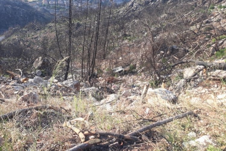 35 metrelik u&ccedil;uruma yuvarlanan otomobilde mucize kurtuluş