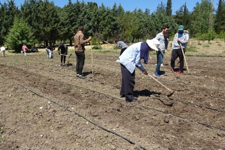 Do&ccedil;. Dr. Sevin&ccedil; Başay: Gıda krizinden daha az etkilenmek i&ccedil;in &uuml;retime y&ouml;nelmemiz gerekiyor
