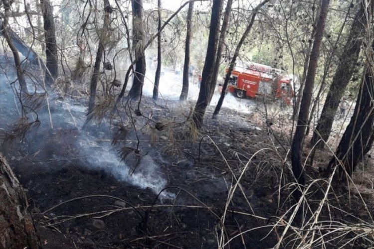 Muğla Fethiye'de orman yangını &ccedil;ıktı