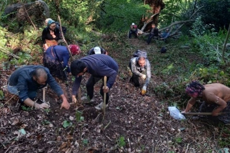 Ormanda insan kafatası ve kemikleri bulundu