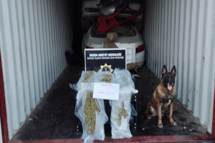 5 kilo 800 gram skunt ele ge&ccedil;irildi
