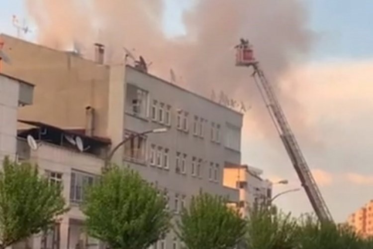 Kayıp kadın saatler sonra ormanlık alanda bulundu