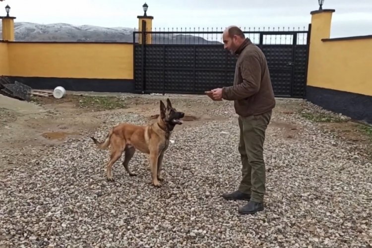 &Ccedil;iftliğini korumak i&ccedil;in almıştı parmağından oldu
