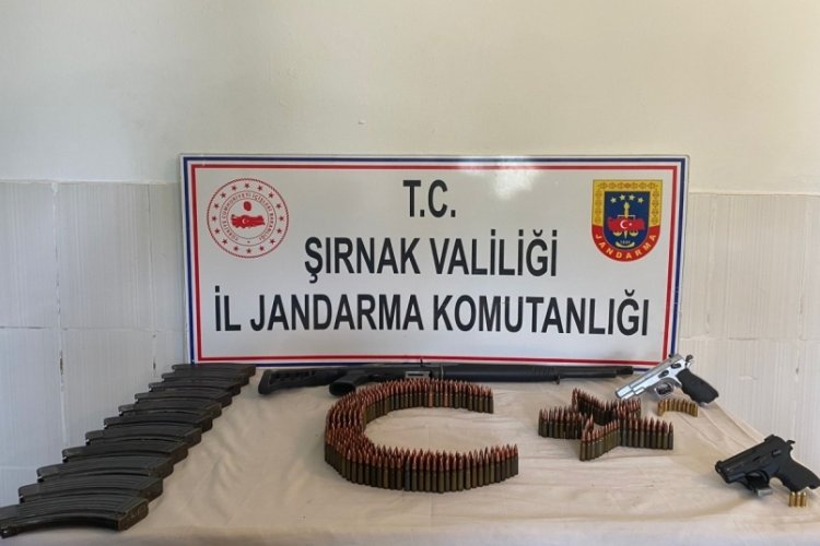 Şırnak'taki asayiş ve ka&ccedil;ak&ccedil;ılık operasyonlarında &ccedil;ok sayıda g&ouml;zaltı