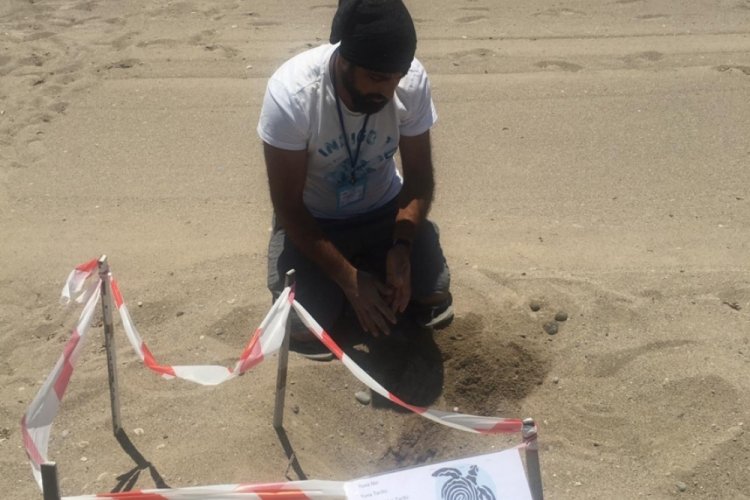 Deniz kaplumbağaları bu sene iki hafta gecikti