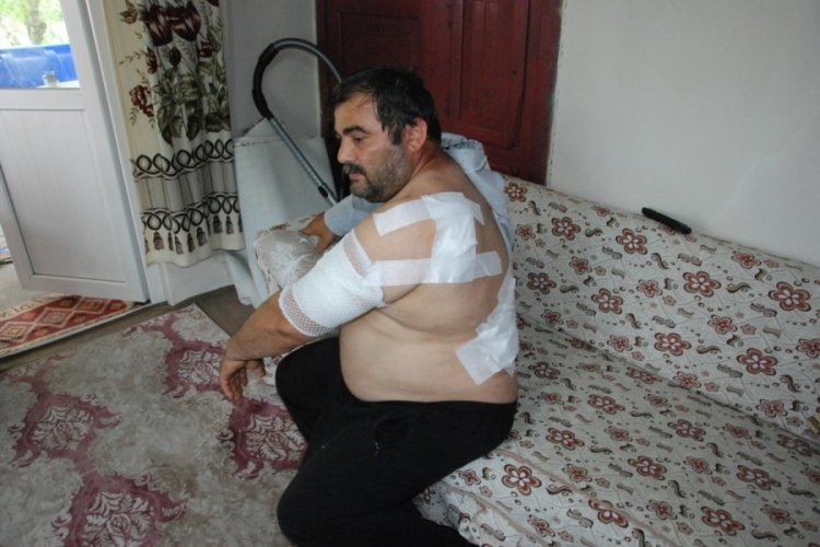 Bartın'da ayının saldırdığı iş&ccedil;i: &Ouml;ld&uuml;ğ&uuml;m&uuml; sanıp bıraktı&nbsp;