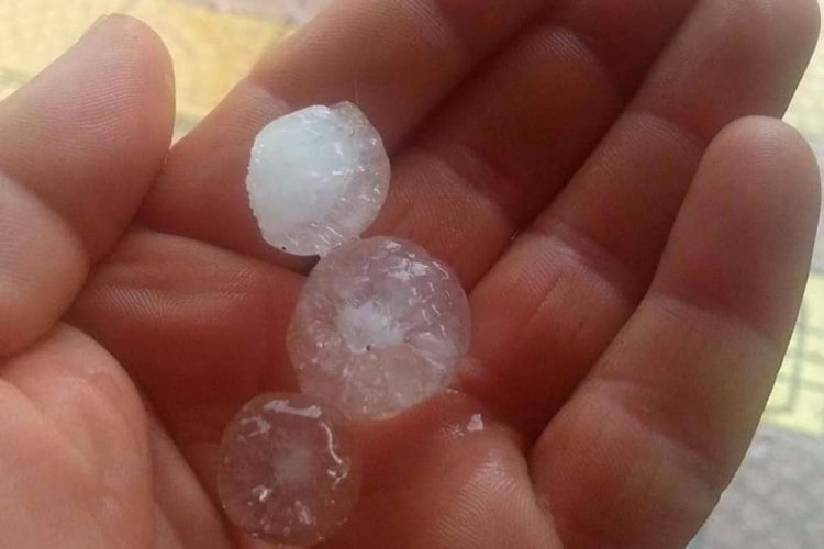 Fındık b&uuml;y&uuml;kl&uuml;ğ&uuml;ndeki dolu yağışı korkuttu