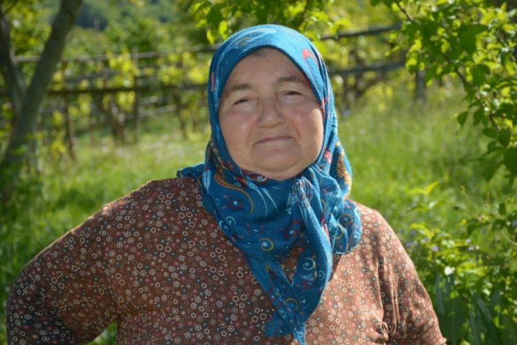Sinoplu Kezban teyze g&uuml;neş enerji santrali kurdu
