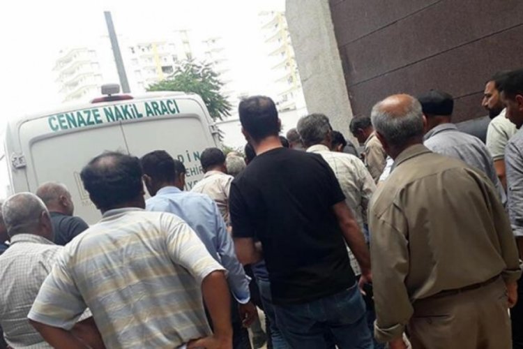 Mardin'de arazi sularken yılan ısırmasıyla &ouml;ld&uuml;