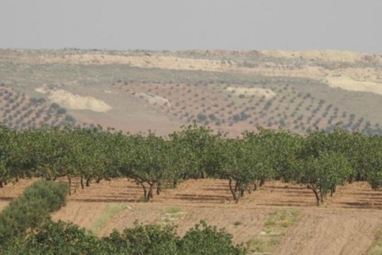 Operasyon sinyali sonrası PKK'lılar paniğe kapıldı