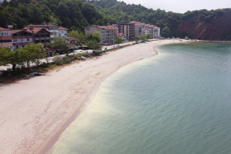 Bartın Amasra'da deniz kirliliğine inceleme