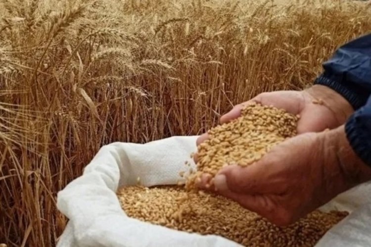 Bakanlıktan 'ekmeklik buğday satışı' a&ccedil;ıklaması: Uygun fiyatla buğday satışı s&uuml;recek