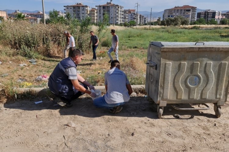 Tire'de &ouml;l&uuml; bulunan kedi ve k&ouml;peklerin zehirlendiği ortaya &ccedil;ıktı