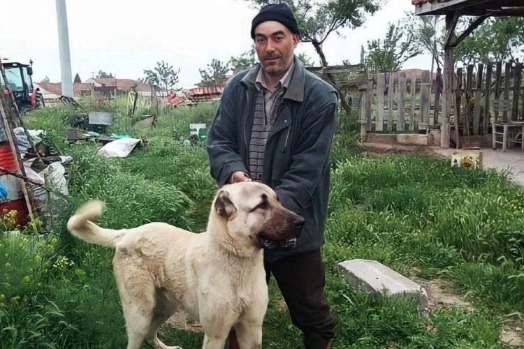 Uşak'ta iki ailenin kavgasında baba yaralandı, oğlu &ouml;ld&uuml;