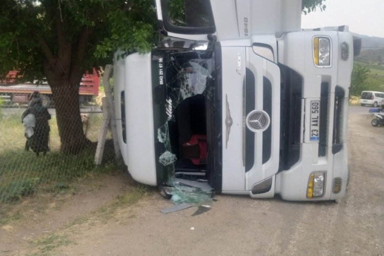 Hayvan y&uuml;kl&uuml; tır yan yattı, 170 hayvan telef oldu