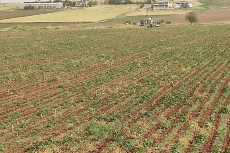 &Uuml;zerine yıldırım d&uuml;şen &ccedil;ocuk, hayatını kaybetti