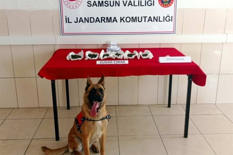 Jandarmadan uyuşturucu operasyonları: &Ccedil;ok sayıda g&ouml;zaltı var