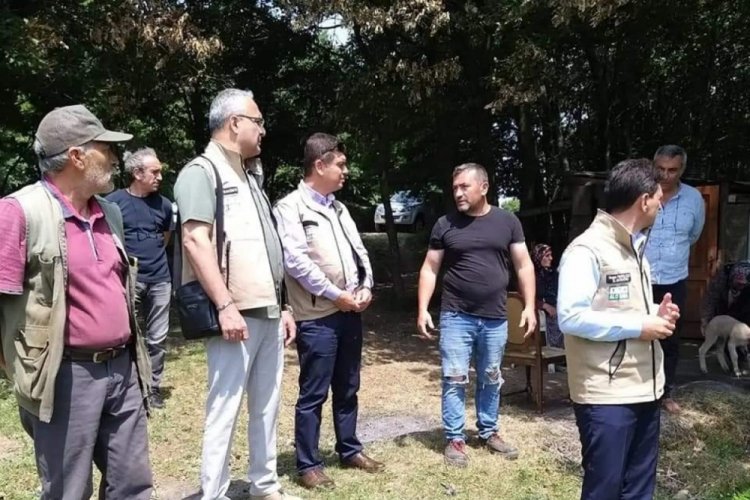 Kurt s&uuml;r&uuml;ye daldı, 12 koyun İle 5 kuzu telef oldu!