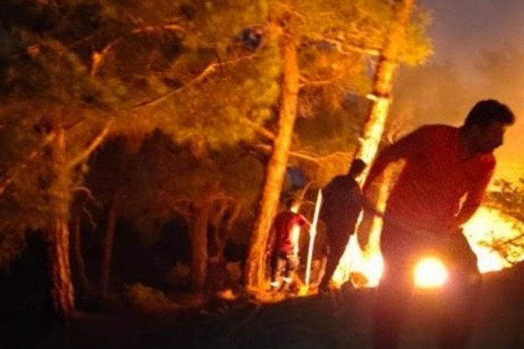 Ormana d&uuml;şen yıldırım yangına sebep oldu
