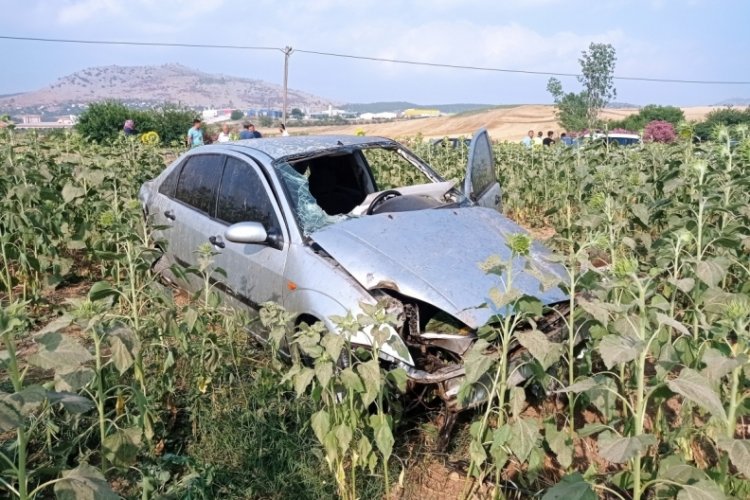 Otomobil ay&ccedil;i&ccedil;ek tarlasına u&ccedil;tu