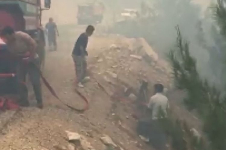 Akıl sağlığı yerinde olmayan kişinin &ccedil;ıkardığı yangında 1 hektar alan yandı