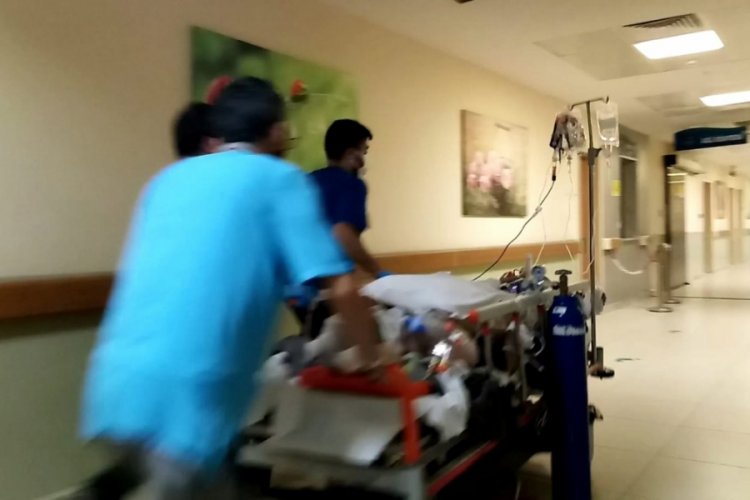 Bursa'da kestiği ağacın altında kalan yaşlı adam &ouml;ld&uuml;