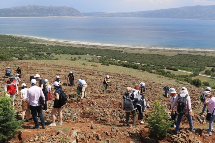 Salda G&ouml;l&uuml; etrafına 300 fidan dikildi