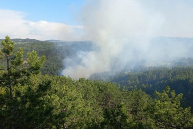 Bolu G&ouml;yn&uuml;k'te orman yangınında 1 hektar alan zarar g&ouml;rd&uuml;