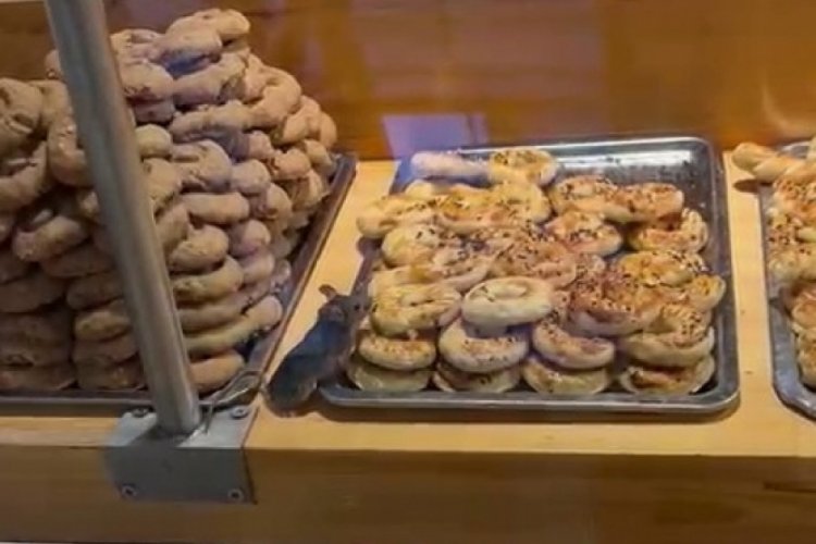 &Uuml;nl&uuml; zincir markette farenin kurabiye keyfi