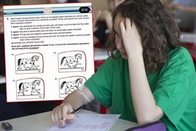 Sosya medyada  g&uuml;ndem olan 'at sorusu'