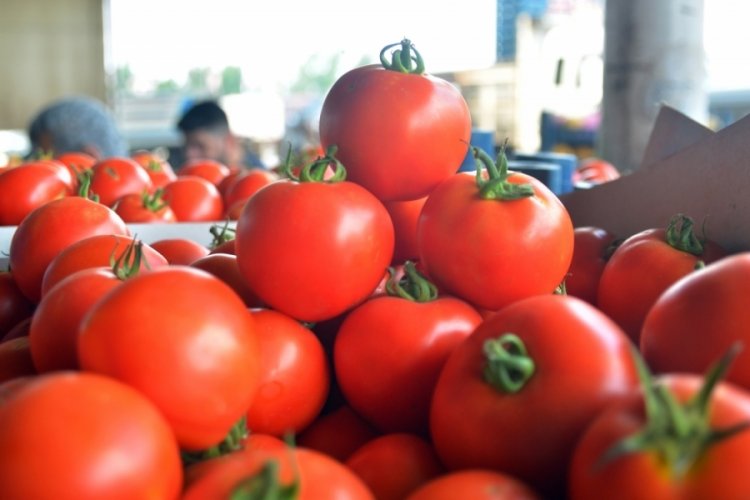 Halde kilosu 4 lira olan domates markette 14 liraya satılıyor