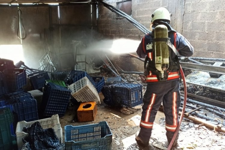 Bursa'da zeytin malzeme deposu alevlere teslim