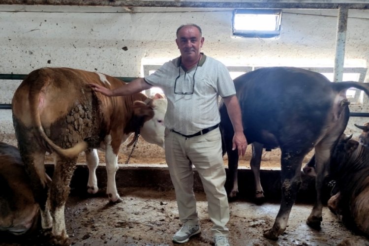 Bursa'da o kurbanlıklar i&ccedil;in 1 yıl &ouml;nceden sıraya girenler var
