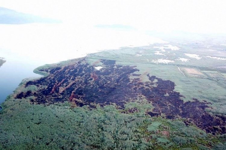 Muğla'da yangını &ccedil;ıkardıktan sonra selfie yapan ş&uuml;pheli g&ouml;zaltında