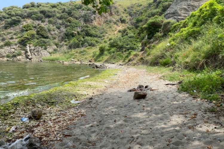 Bursa'da Kapanca sahilinin son hali i&ccedil;ler acısı
