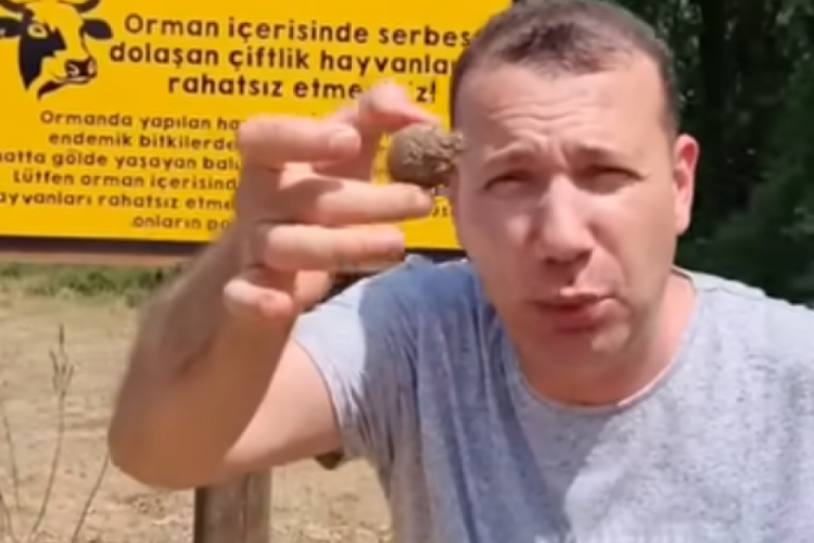 Bursa'da işkenceci uyarıyı hi&ccedil;e saydı! G&uuml;bre b&ouml;ceğini ayağıyla ezdi