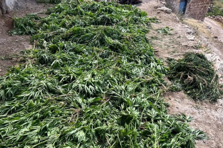 Jandarma, 42,5 kilogram esrar ele ge&ccedil;irdi