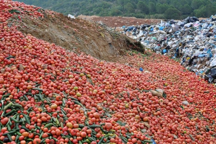 &Ccedil;&ouml;pteki sebzelerin paylaşımına su&ccedil; duyurusu
