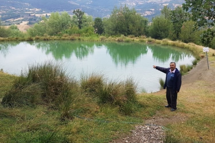 Gurbet&ccedil;i kadın g&ouml;lette &ouml;l&uuml; bulundu