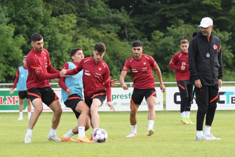 &Uuml;mit Milliler, Danimarka'nın konuğu