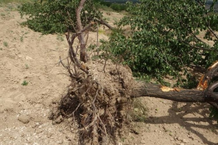 Malatya'da akıllara durgunluk veren olay!